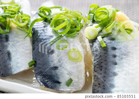 Sardine nigiri sushi. Sardine nigiri sushi. 85103551