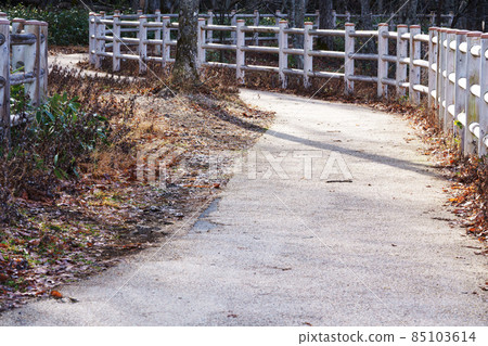 Dead leaves scattered promenade Dead leaves scattered promenade 85103614