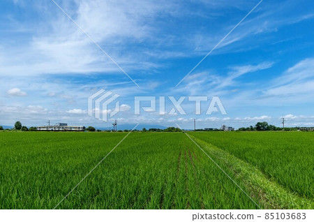 [青森縣津輕平原] 一邊眺望津輕富士山磐城山，一邊穿過津輕平原的稻田的稻田鐵路（港南鐵路） 85103683