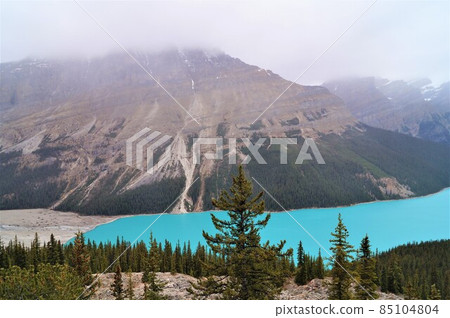 Lake Peyto in Banff National Park, Canada Lake Peyto in Banff National Park, Canada 85104804