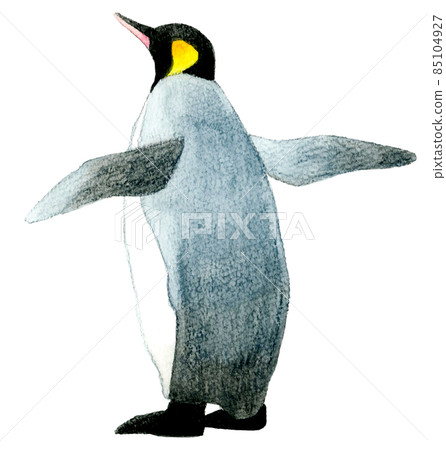 Illustration of the back of a king penguin flapping its wings Cute hand-painted watercolor illustration material 85104927