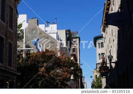 Quebec City, Canada Cityscape of Saint-Pierre Street Quebec City, Canada Cityscape of Saint-Pierre Street 85105510