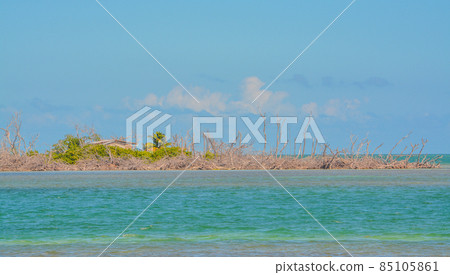 A hurricane destroyed the mangroves on this small island. It is near Bahia Honda Key in Monroe County, Florida A hurricane destroyed the mangroves on this small island. It is near Bahia Honda Key in Monroe County, Florida 85105861