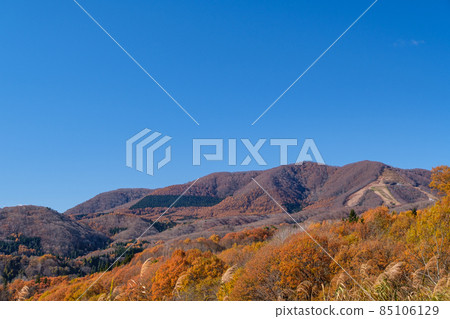 斑尾高原的秋葉 85106129