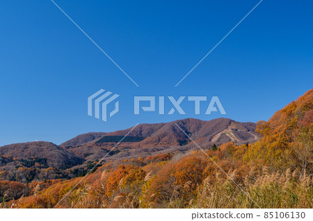 斑尾滑雪場的秋葉 斑尾滑雪場的秋葉 85106130