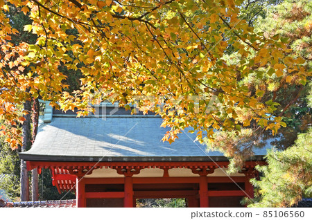 川越步行：日本三大東照宮千葉東照宮 85106560