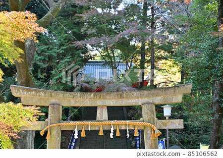 川越步行:千葉東照宮、日本三大東照宮、石鳥居 川越步行:千葉東照宮、日本三大東照宮、石鳥居 85106562