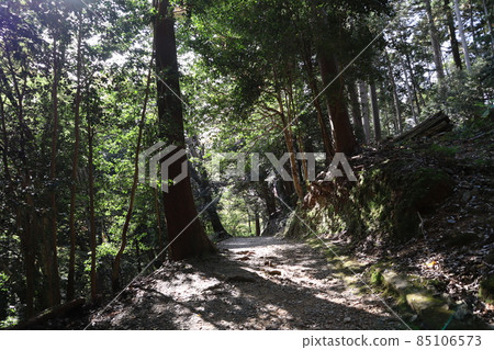 A landscape with mountains and mountain paths in a forest of green trees and a cloudy sky and a white sky 85106573