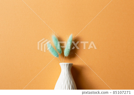 Vase of mint green Lagurus ovatus tail grass on orange background. top view, copy space Vase of mint green Lagurus ovatus tail grass on orange background. top view, copy space 85107271