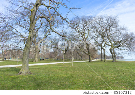 Burnham Shores Park by lake Michigan in Chicago, spring landscape of green field. Burnham Shores Park by lake Michigan in Chicago, spring landscape of green field. 85107312