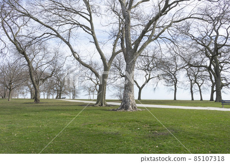 Burnham Shores Park by lake Michigan in Chicago, spring landscape of green field. Burnham Shores Park by lake Michigan in Chicago, spring landscape of green field. 85107318