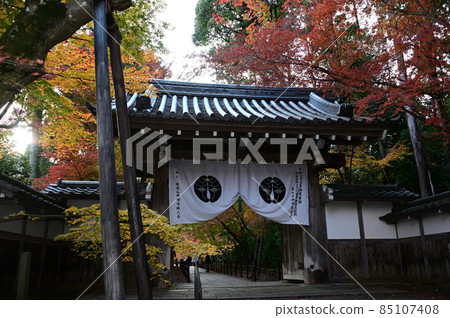 鴨葵門和楓葉 85107408