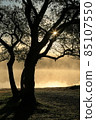The morning of Lake Onogawa, the back of the fog 85107550