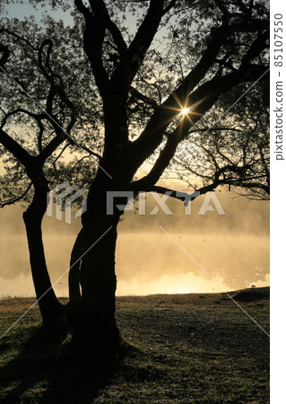 The morning of Lake Onogawa, the back of the fog 85107550