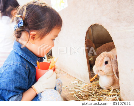 A girl and a rabbit A girl and a rabbit 85107631