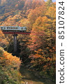 Tadami line running in autumn leaves 85107824