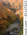 Tadami line running in autumn leaves 85107825