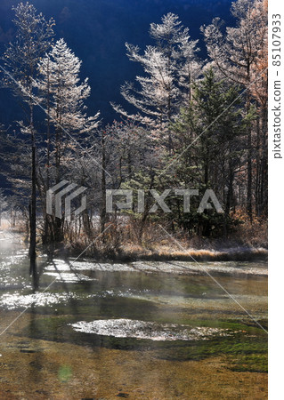 Kamikochi Tashiroike in late autumn with rime 85107933