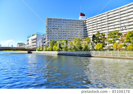 俯瞰東洋大橋/鹽濱運河（東京都江東區） [2021.11] 85108178