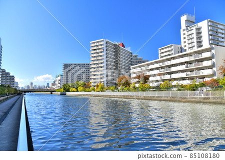 Overlooking the Toyo Bridge / Shiohama Canal (Koto-ku, Tokyo) [2021.11] 85108180