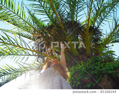 The girl stands under a sprawling palm tree in the sun and stretches her hand up. Photo from the bottom up 85108244