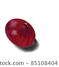 Red onion 85108404
