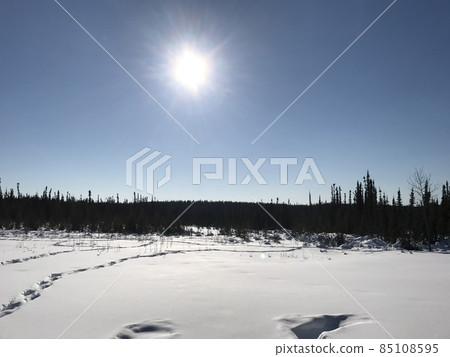 陽光照耀阿拉斯加的天空 85108595