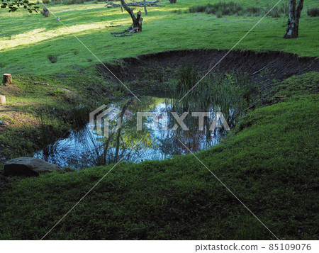 A pit with swampy water reflecting the sky and the environment is located in a green meadow 85109076