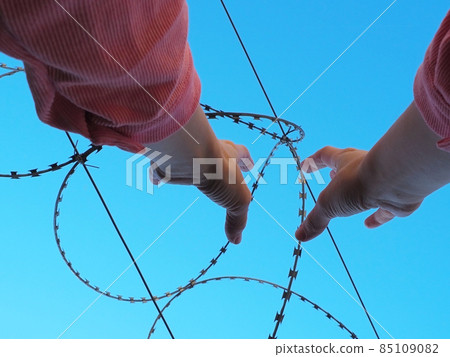 Hands under the barbed wire reach up against the blue sky Hands under the barbed wire reach up against the blue sky 85109082