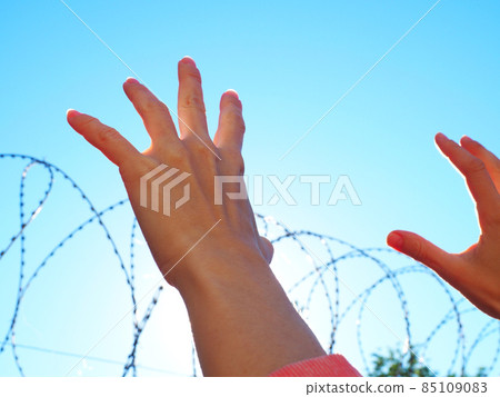 Hands reach up to the barbed wire against the blue sky 85109083
