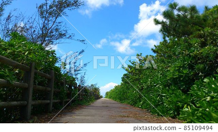 通往天空的路 85109494