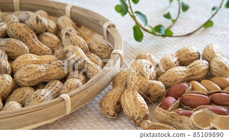 Peanuts and peanuts Peanuts and peanuts 85109890