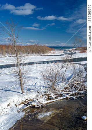 Shibetsu Town, Hokkaido Winter scenery of the Churui River and the sea 85109942