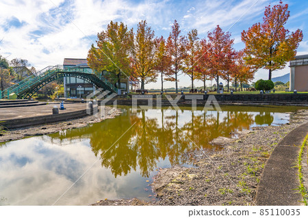岐阜縣海津市秋季水上世界水鄉公園中心與美麗的楓香秋葉 岐阜縣海津市秋季水上世界水鄉公園中心與美麗的楓香秋葉 85110035