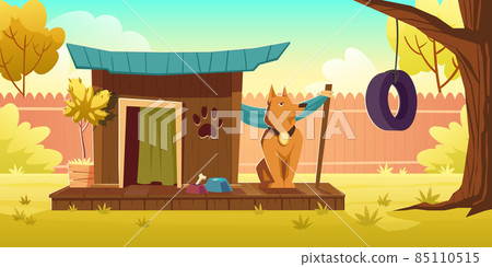 Dog sitting near wooden kennel at house backyard Dog sitting near wooden kennel at house backyard 85110515