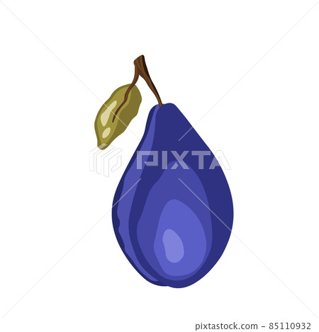 Plum icon isolated on white background. Natural delicious fresh ripe tasty fruit. Template vector illustration for packaging, banner, card and other design. Stylized plums with leaves. Food concept 85110932
