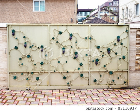 Light iron gate in a wrought-iron pattern in the form of a vine in front of a private house 85110937