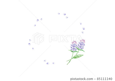 水稻Bogusa 85111140