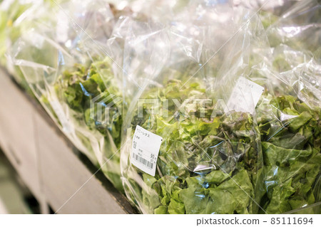 Image of sunny lettuce vegetable counter lined up in supermarket Image of sunny lettuce vegetable counter lined up in supermarket 85111694