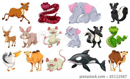 Set of different wild animals cartoon characters Set of different wild animals cartoon characters 85112987