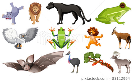 Set of different wild animals cartoon characters Set of different wild animals cartoon characters 85112994