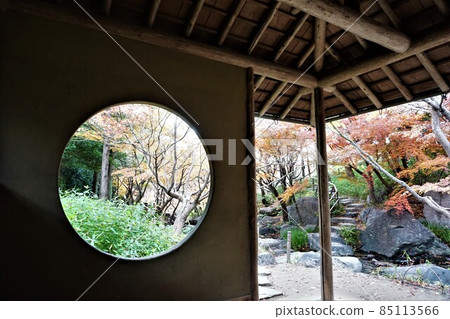 名古屋白鳥園 名古屋白鳥園 85113566