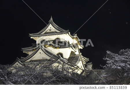 Hikone Castle where peony snow dances Shiga 85113839