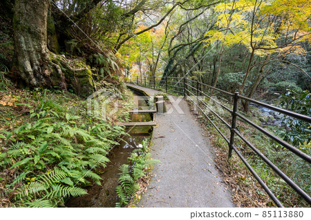 [Shizuoka Prefecture] Kawazu Seven Waterfalls 85113880
