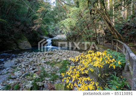 [Shizuoka Prefecture] Kawazu Seven Waterfalls 85113891