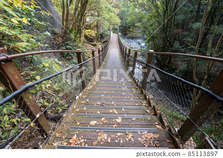 【靜岡縣】河津七瀑 【靜岡縣】河津七瀑 85113897