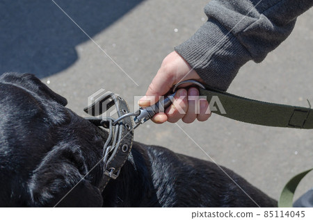 Close-up of a woman's hands fastening an unbreakable carabiner t Close-up of a woman's hands fastening an unbreakable carabiner t 85114045