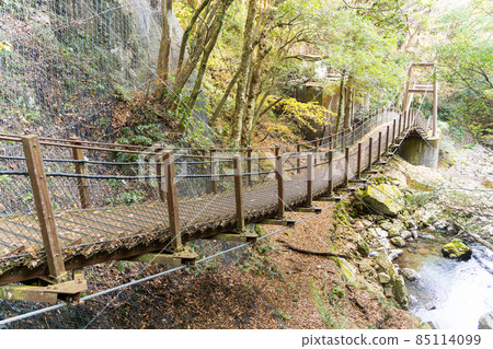 [Shizuoka Prefecture] Kawazu Seven Waterfalls 85114099