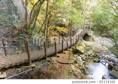 [Shizuoka Prefecture] Kawazu Seven Waterfalls 85114100