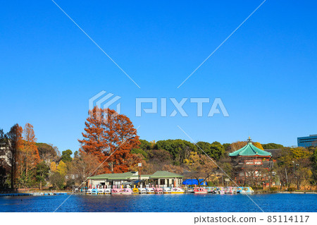 [Tokyo] Scenery of Ueno Onshi Park and Shinobazu Pond 85114117